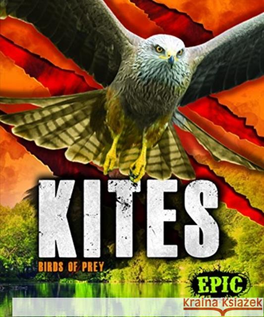 Kites: Birds of Prey Nathan Sommer 9781626178779 Bellwether Media Inc.