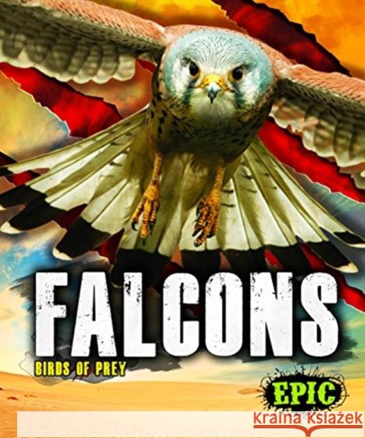 Falcons Nathan Sommer 9781626178793 Bellwether Media Inc.