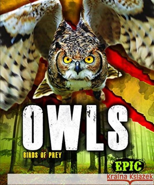 Owls Nathan Sommer 9781626178816 Bellwether Media