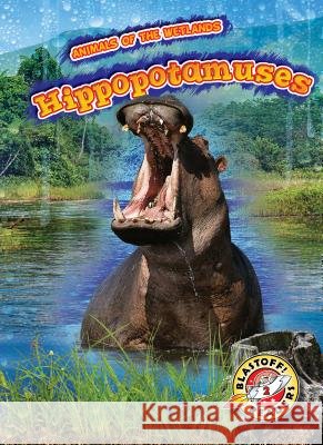 Hippopotamuses Rachel Grack 9781626179899