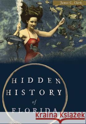 Hidden History of Florida James C. Clark 9781626199972 History Press (SC)