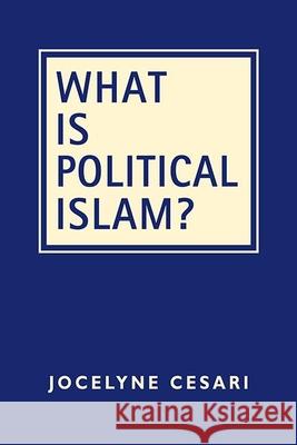 What Is Political Islam? Jocelyne Cesari   9781626376922