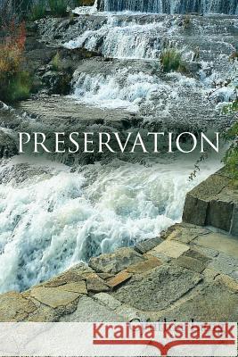 Preservation Cynthia Lang 9781626526853 Mill City Press, Inc.