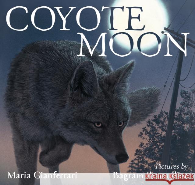 Coyote Moon Maria Gianferrari Bagram Ibatoulline 9781626720411
