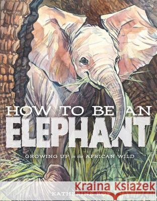 How to Be an Elephant Katherine Roy 9781626721784 David Macaulay Studio