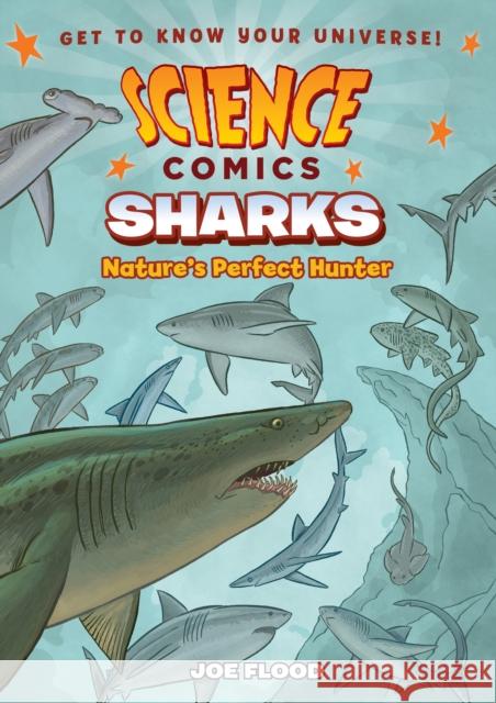 Science Comics: Sharks: Nature's Perfect Hunter Joe Flood Joe Flood 9781626727878 First Second