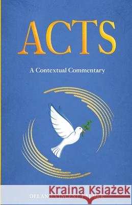 Acts: A Contextual Commentary Delano Vincent Palmer 9781626766129 Extra Mile Innovators