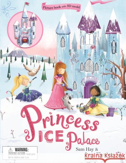 Princess Ice Palace Sam Hay Lucy Fleming 9781626868922