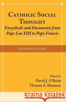 Catholic Social Thought: Encyclicals and Documents from Pope Leo XIII to Pope Francis David J. O Thomas A. Shannon 9781626981997 Orbis Books