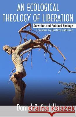Ecological Theology of Liberation: Salvation and Political Ecology Castillo, Daniel P. 9781626983212 Orbis Books