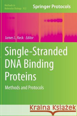 Single-Stranded DNA Binding Proteins: Methods and Protocols Keck, James L. 9781627030311