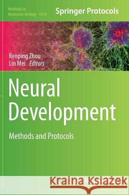 Neural Development: Methods and Protocols Zhou, Renping 9781627034432 Humana Press