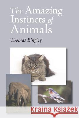 The Amazing Instinct of Animals Thomas Bingley 9781627300452 Stonewell Press