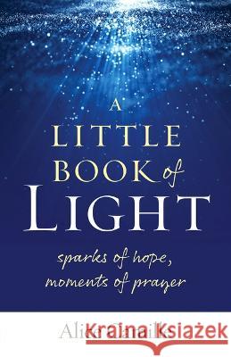 A Little Book of Light: Sparks of Hope, Moments of Prayer Alice Camille 9781627857031