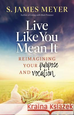 Live Like You Mean It: Reimagining Purpose and Vocation S. James Meyers 9781627857994 Twenty-Third Publications