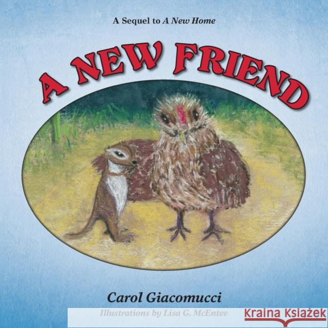 A New Friend Carol Giacomucci, Lisa G McEntee 9781627872225