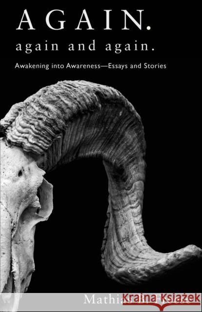 Again. Again and Again.: Awakening into Awareness - Essays and Stories Mathias B Freese 9781627879408 Wheatmark