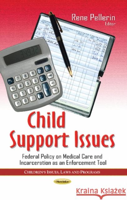 Child Support Issues: Federal Policy on Medical Care & Incarceration as an Enforcement Tool Rene Pellerin 9781628083767 Nova Science Publishers Inc