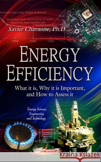 Energy Efficiency: What it is, Why it is Important, and How to Assess it Xavier Chavanne 9781628087642 Nova Science Publishers Inc