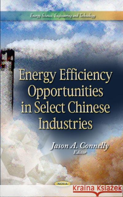 Energy Efficiency Opportunities in Select Chinese Industries Jason A Connelly 9781628089844 Nova Science Publishers Inc