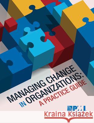 Managing Change in Organizations: A Practice Guide Project Management Institute 9781628250152 Project Management Institute