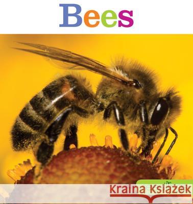 Seedlings: Bees Aaron Frisch 9781628320381 Creative Paperbacks