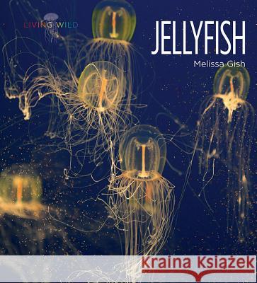 Jellyfish Melissa Gish 9781628321692