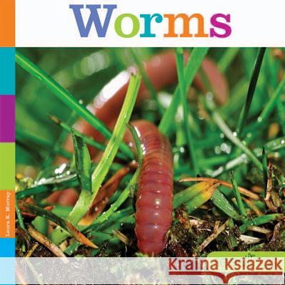 Worms Laura K. Murray 9781628321906 Creative Paperbacks