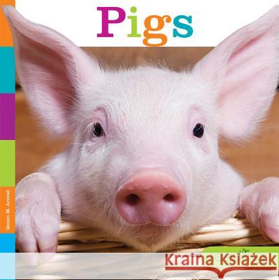 Seedlings: Pigs Quinn M. Arnold 9781628323955 Creative Paperbacks