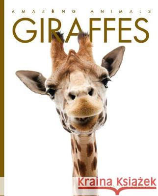 Giraffes Valerie Bodden 9781628327663 