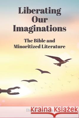 Liberating Our Imaginations: The Bible and Minoritized Literature David Janzen 9781628376944