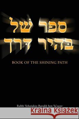 Book of the Shining Path Rabbi Yehoiakin-Barukh Ben Ya'ocov 9781628389098 Page Publishing, Inc.