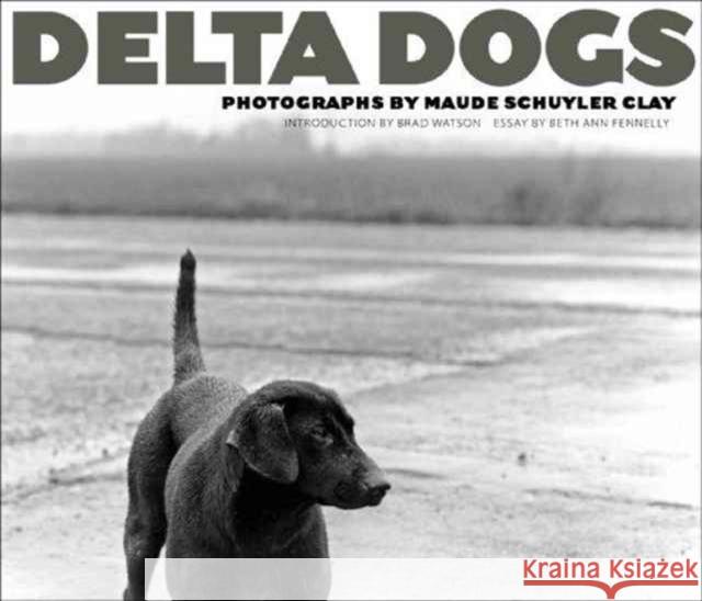 Delta Dogs Maude Schuyler Clay 9781628460087 University Press of Mississippi