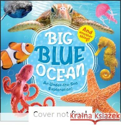 Big Blue Ocean Kidsbooks Publishing 9781628858600 Kidsbooks Publishing