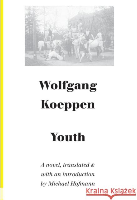 Youth Wolfgang Koeppen 9781628970500 Dalkey Archive Press
