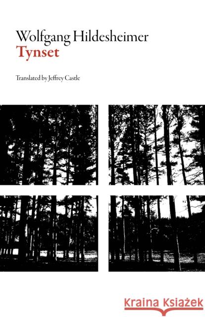 Tynset Wolfgang Hildesheimer Jeffrey Castle 9781628971422 Dalkey Archive Press