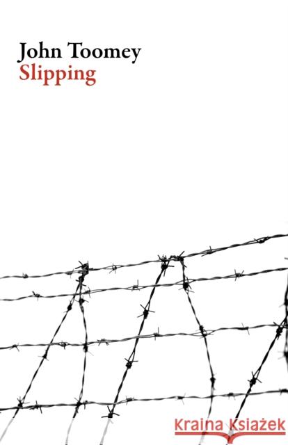 Slipping John Toomey 9781628971712 Dalkey Archive Press