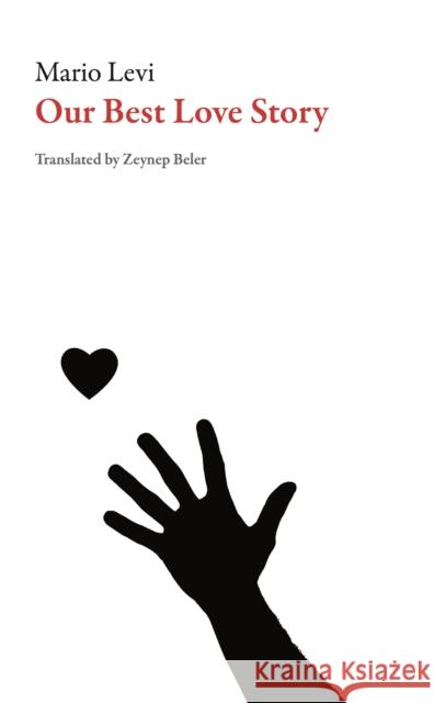 Our Best Love Story Mario Levi Zeynep Beler 9781628972306 Dalkey Archive Press