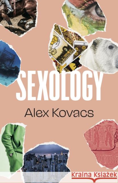 Sexology Alex Kovacs 9781628975024 Dalkey Archive Press