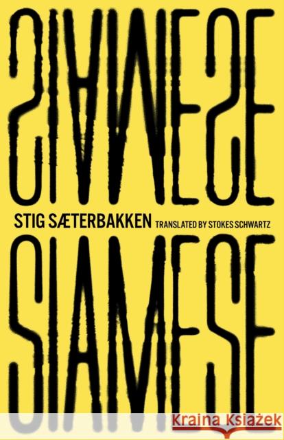 Siamese Stig S?terbakken Stokes Schwartz 9781628976021 Dalkey Archive Press