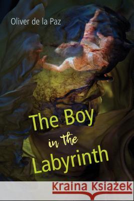 The Boy in the Labyrinth: Poems Oliver d 9781629221724 University of Akron Press