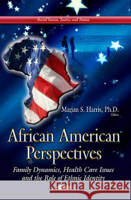 African American Perspectives: Family Dynamics, Health Care Issues & the Role of Ethnic Identity Marian S Harris 9781629480282