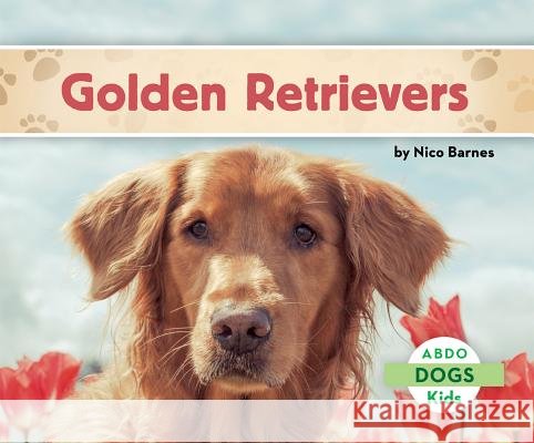 Golden Retrievers Nico Barnes 9781629700311 Abdo Kids