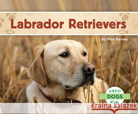 Labrador Retrievers Nico Barnes 9781629700335 Abdo Kids