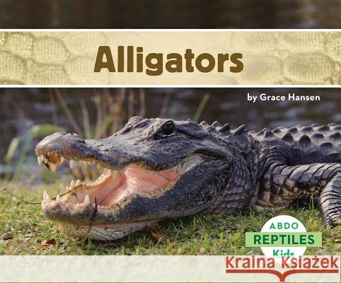 Alligators Grace Hansen 9781629700571 Abdo Kids
