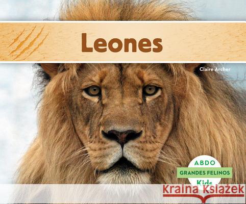 Leones (Lions) (Spanish Version) Archer, Claire 9781629702988 Abdo Kids