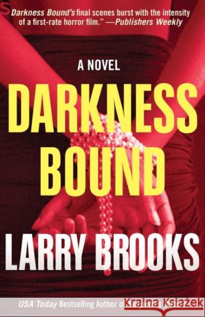 Darkness Bound Larry Brooks 9781630263096 Turner