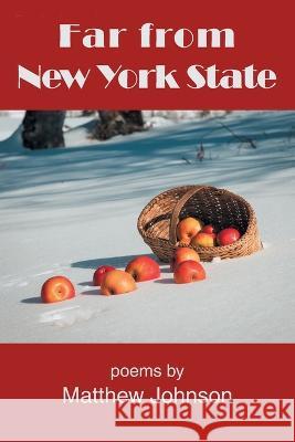 Far from New York State Matthew Johnson 9781630450953 NYQ Books