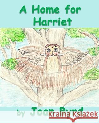 A Home for Harriet Joan Byrd Joan Byrd 9781630665142 Empower Publishing