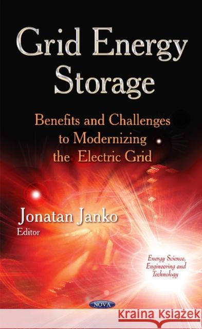 Grid Energy Storage: Benefits & Challenges to Modernizing  the Electric Grid Jonatan Janko 9781631173684 Nova Science Publishers Inc